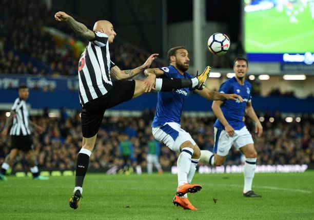 他的体脂率 他的体脂率